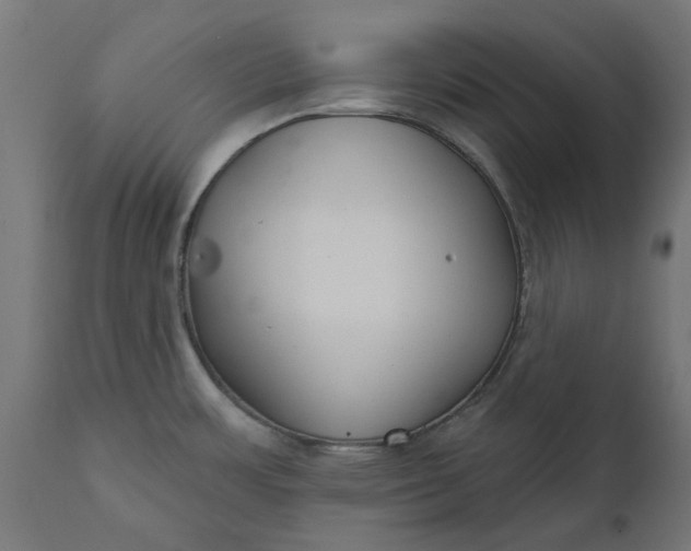X0000111511483200907281303
