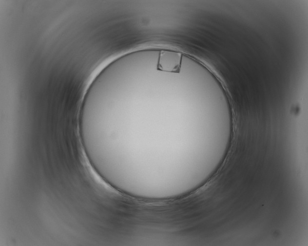 X0000111511484200907281303