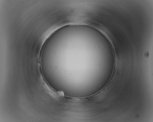 X0000111511485200907281303