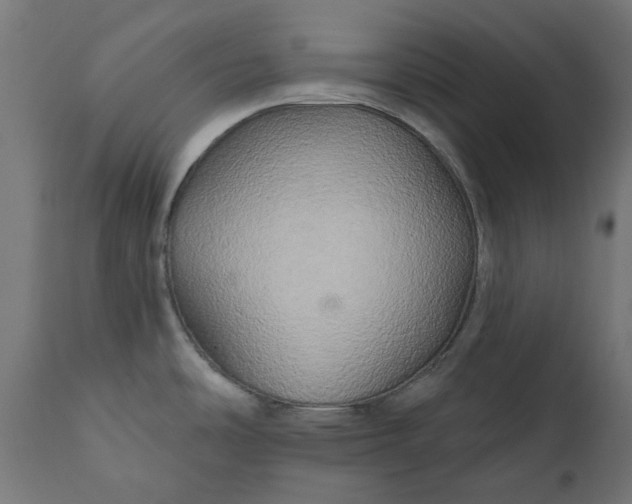 X0000111511486200907281303