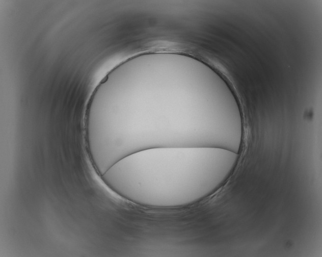 X0000111511487200907281303