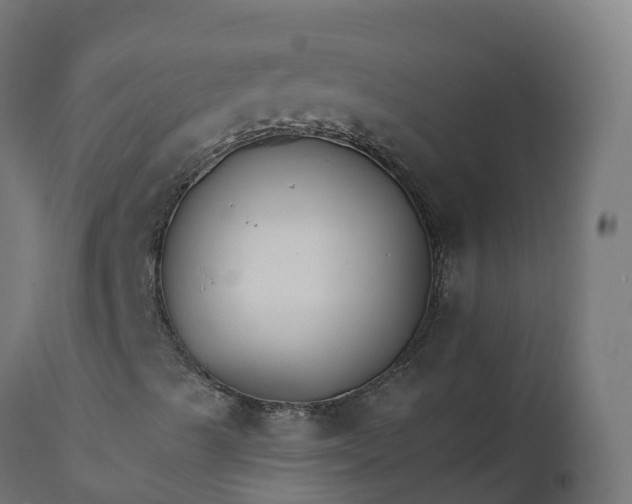 X0000111511489200907281302
