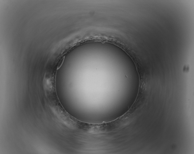 X0000111511490200907281302