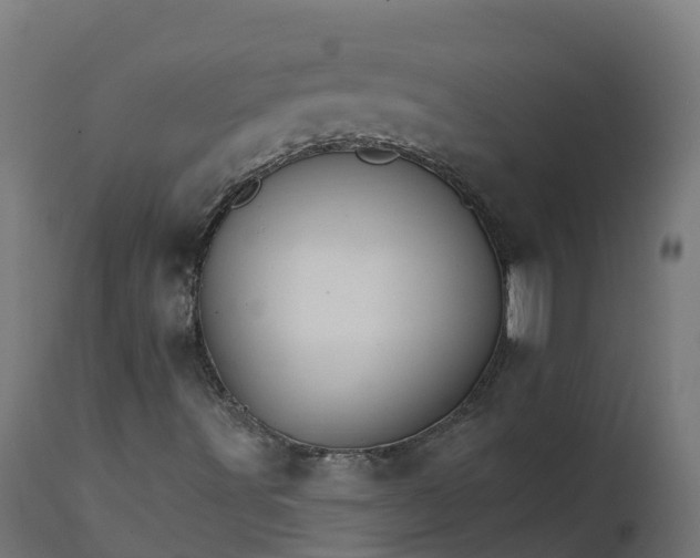 X0000111511491200907281302