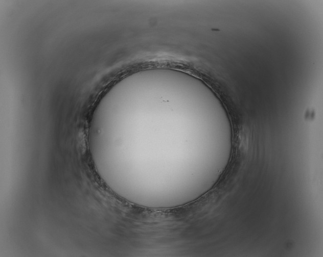 X0000111511493200907281302