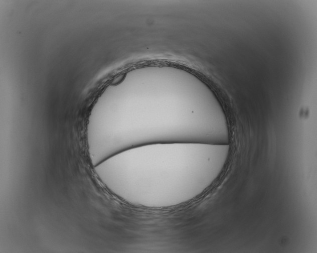 X0000111511494200907281302