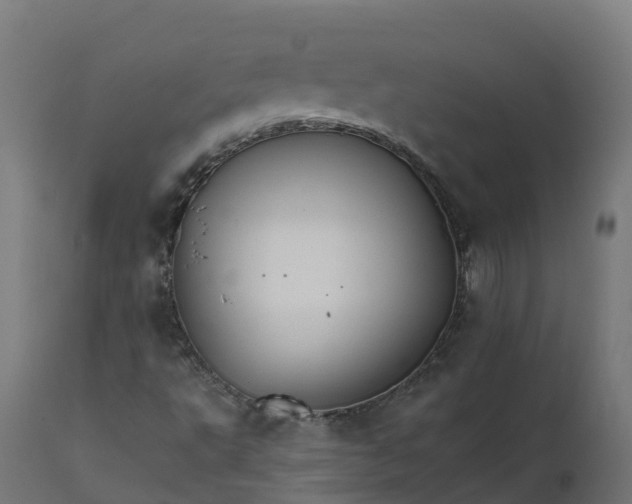 X0000111511495200907281302