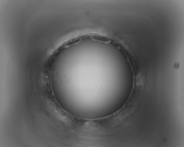 X0000111511496200907281302