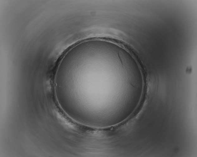 X0000111511497200907281302