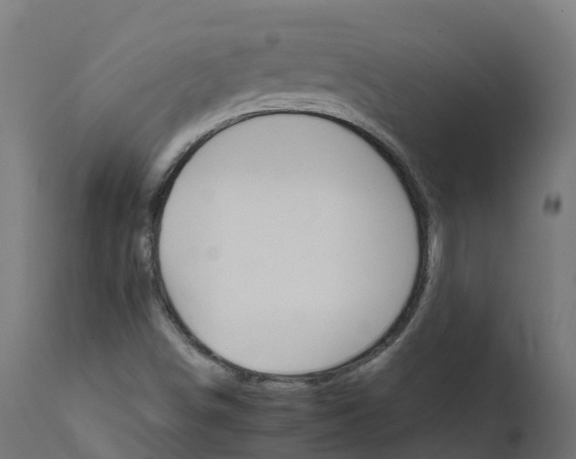 X0000111511498200907281302