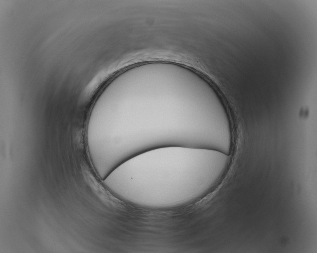 X0000111511499200907281302