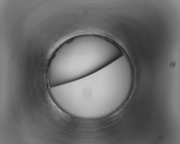 X0000111511500200907281302