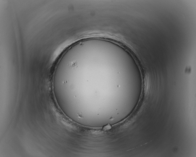 X0000111511501200907281302