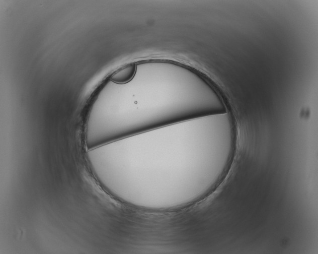 X0000111511502200907281302