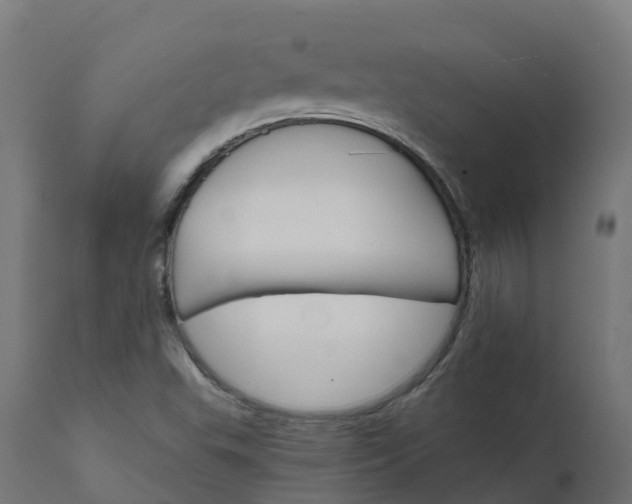 X0000111511503200907281302