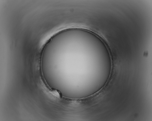 X0000111511504200907281302
