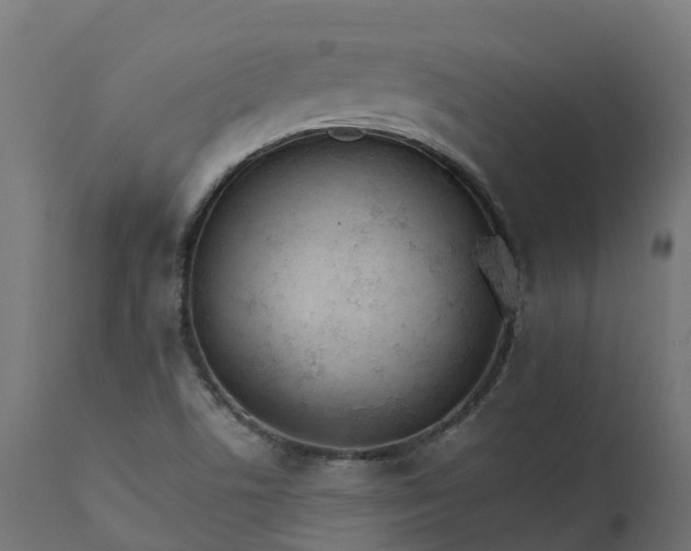 X0000111511506200907281302
