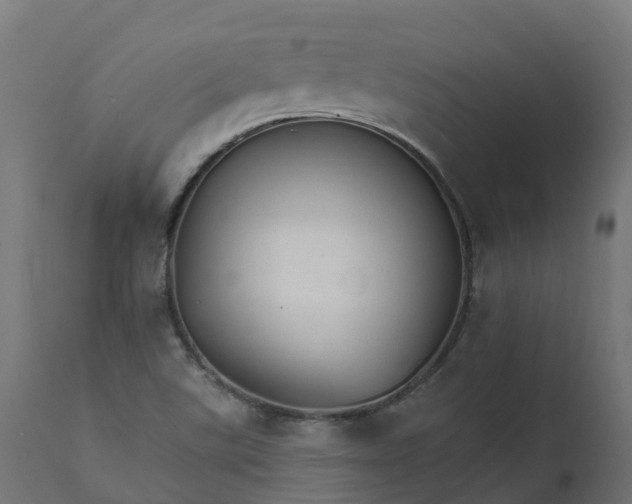 X0000111511507200907281302