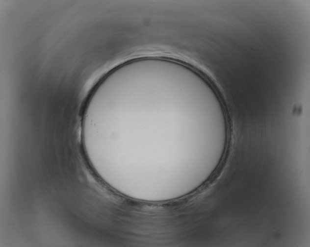 X0000111511509200907281302