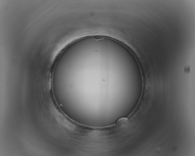 X0000111511510200907281302