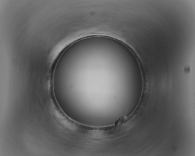 X0000111511511200907281302