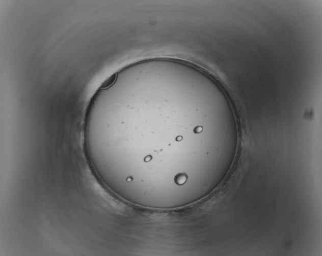 X0000111511512200907281302