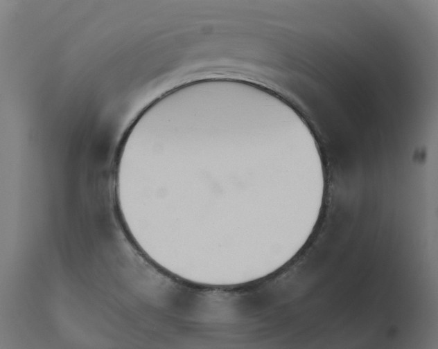 X0000111511514200907281302