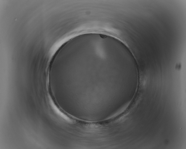 X0000111511515200907281303