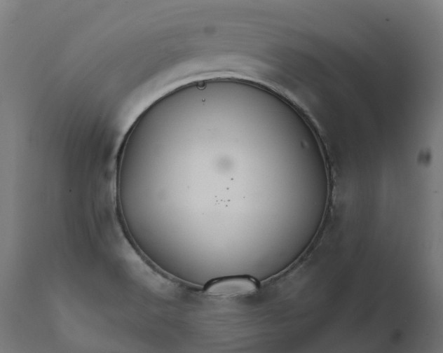 X0000111511516200907281303