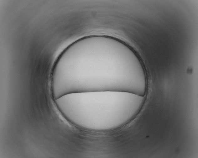 X0000111511517200907281303