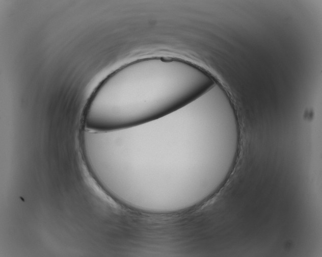 X0000111511518200907281303