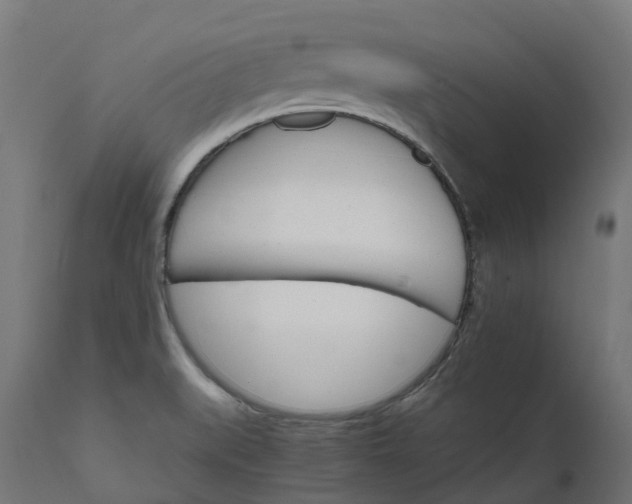 X0000111511519200907281303