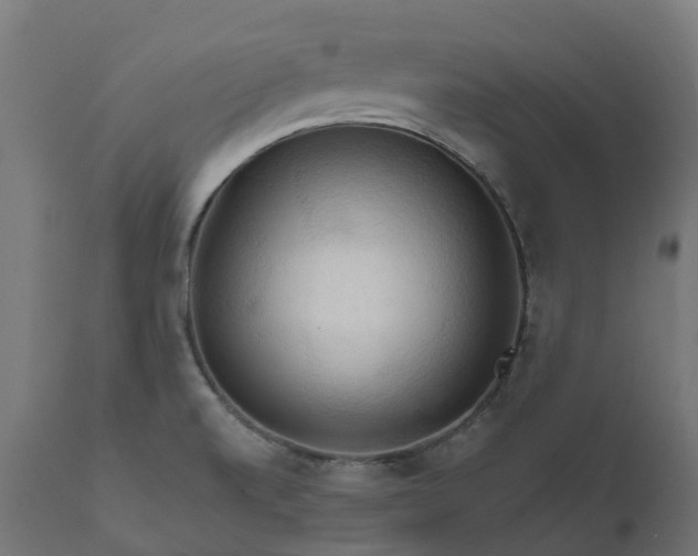 X0000111511520200907281303