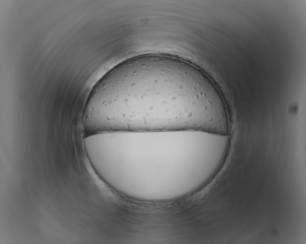 X0000111511521200907281303
