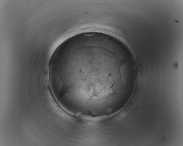 X0000111511522200907281303