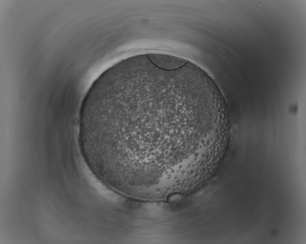 X0000111511523200907281303