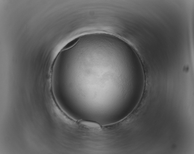 X0000111511524200907281303