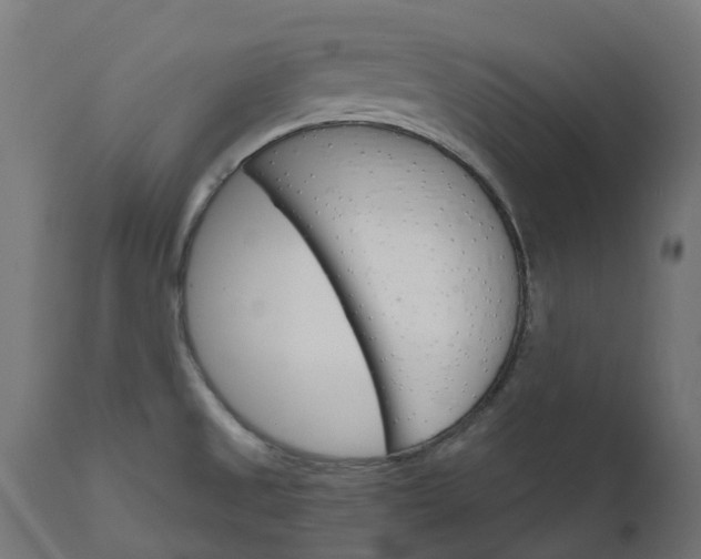 X0000111511525200907281303