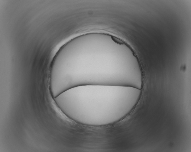 X0000111511526200907281303