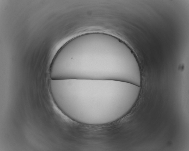 X0000111511527200907281303
