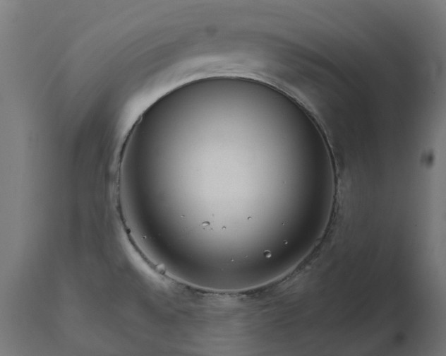 X0000111511528200907281303