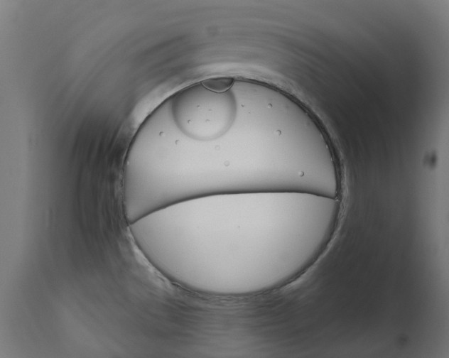 X0000111511529200907281303