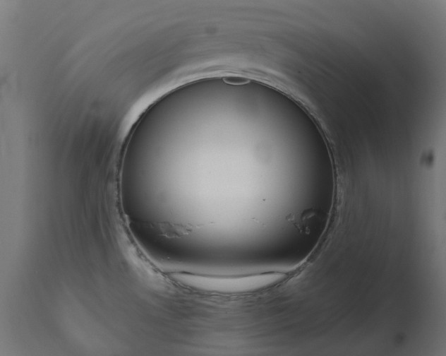 X0000111511530200907281303