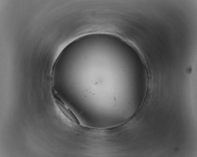 X0000111511532200907281303