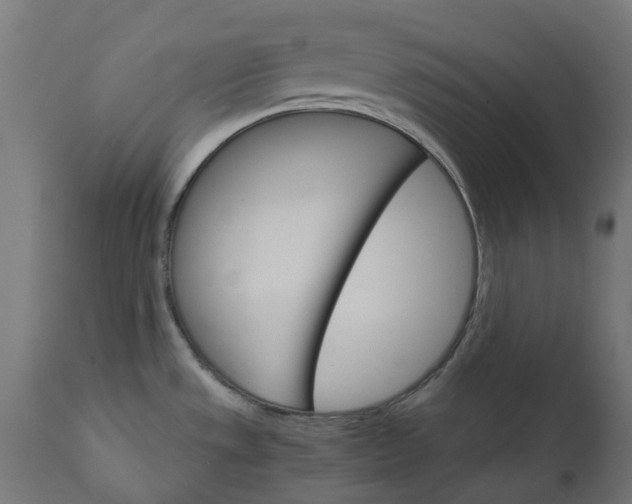 X0000111511533200907281303