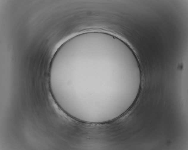 X0000111511534200907281303