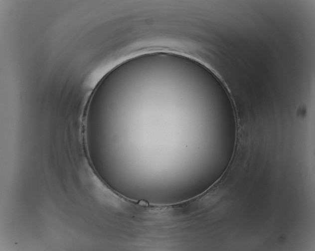 X0000111511535200907281303
