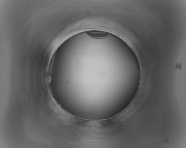 X0000111511536200907281303