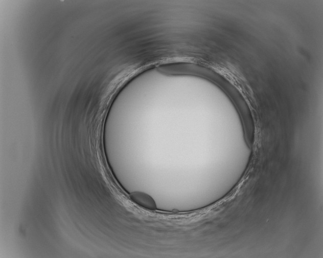 X0000111510001200908041232