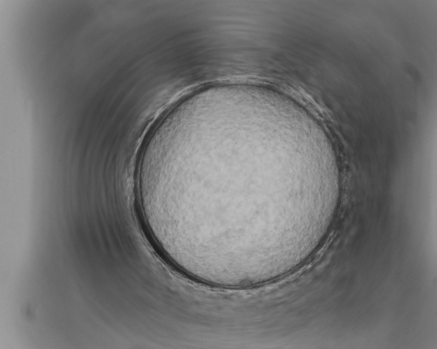 X0000111510002200908041232